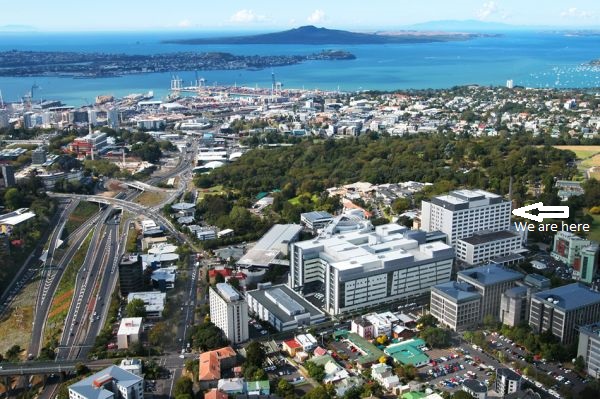 Auckland Hospital Aerial photo